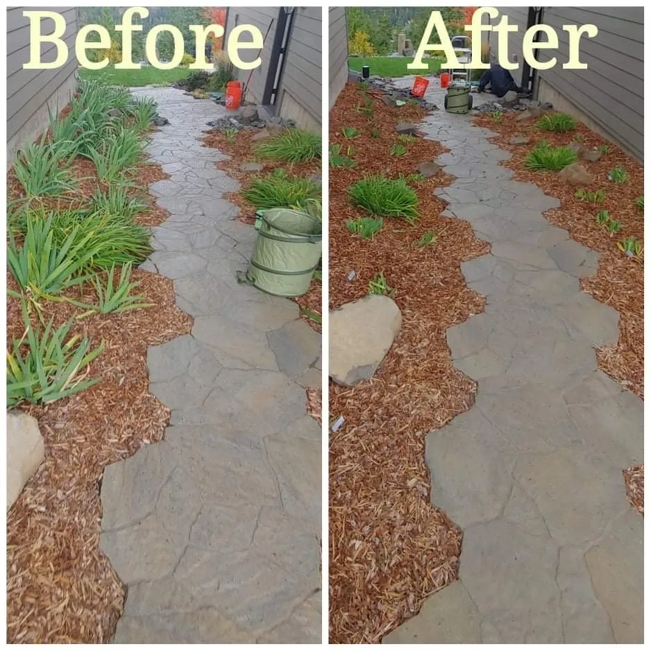 Expert lawn care service experts serving Athol, ID - Lawn Wrangler