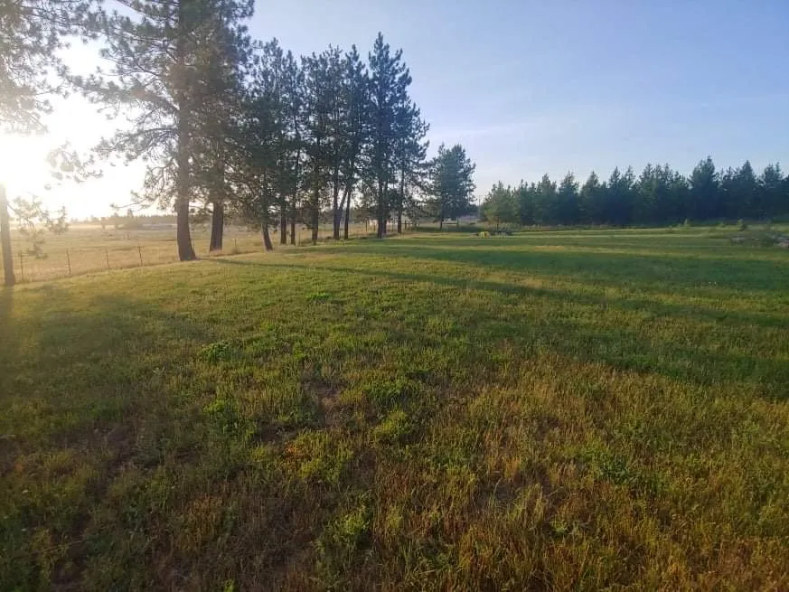 Top-rated residential landscaping in Athol, ID - Lawn Wrangler