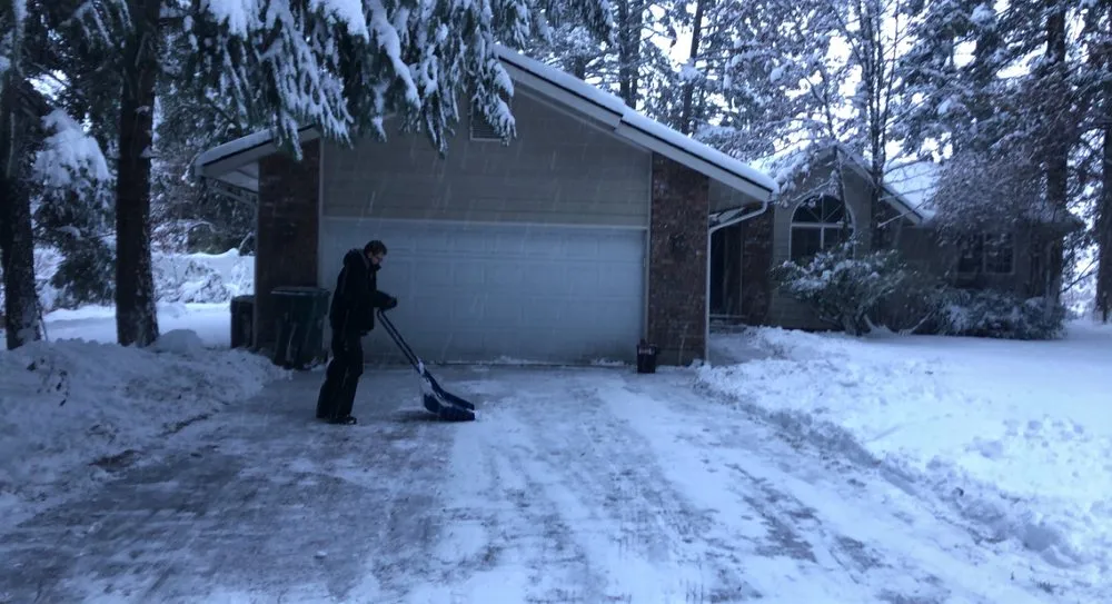 Trusted yard cleanup service for outdoor upgrades across Athol, ID - Lawn Wrangler