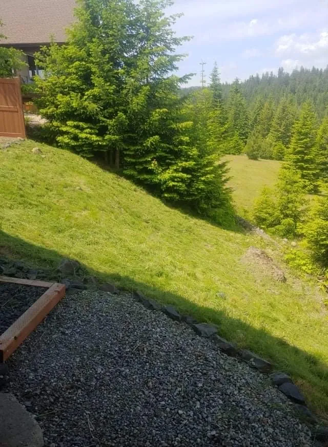 Top-rated lawn mowing service experts serving Athol, ID - Lawn Wrangler
