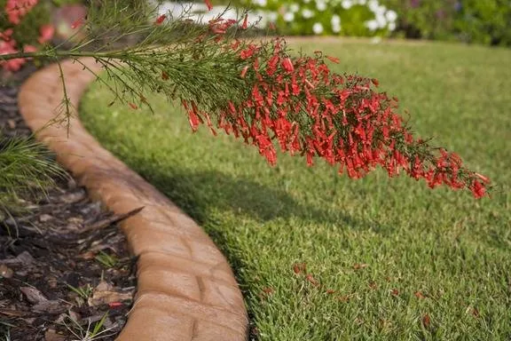 Local landscape installation experts serving Seminole, FL - Lawn Wranglers