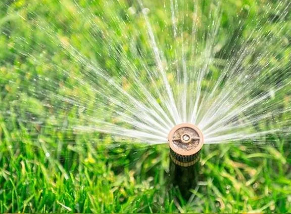 Custom outdoor landscaping in Seminole, FL - Lawn Wranglers