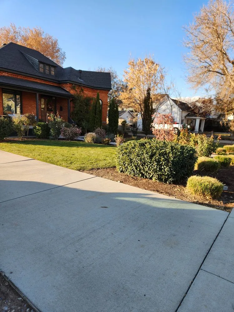 Top-rated yard cleanup service in Vineyard, UT by Lawn X