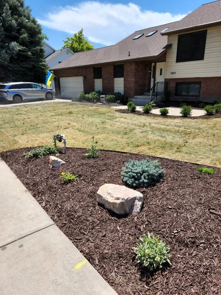 Reliable yard cleanup service experts serving Vineyard, UT - Lawn X