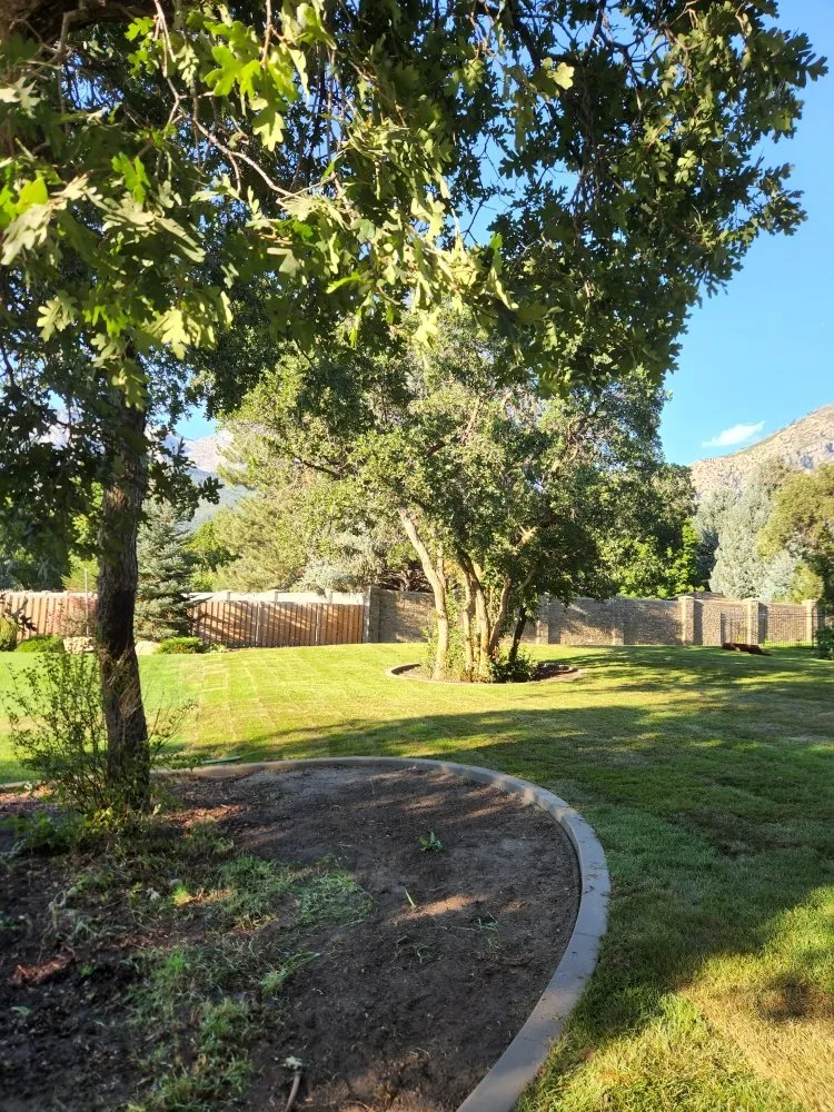 Expert residential landscaping for outdoor upgrades across Vineyard, UT - Lawn X