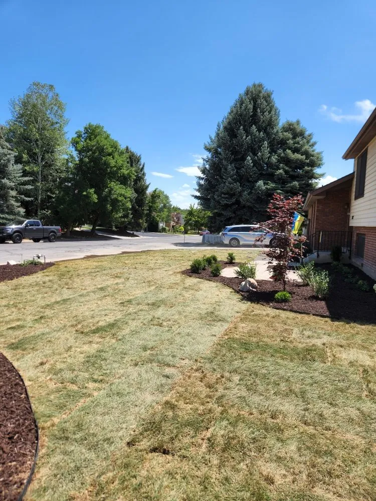 Expert landscape design experts serving Vineyard, UT - Lawn X