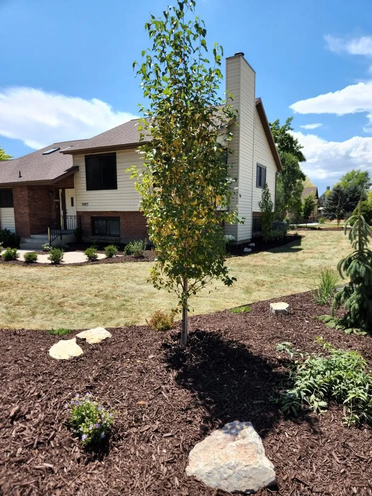 Reliable landscaping services for beautiful yards in Vineyard, UT by Lawn X