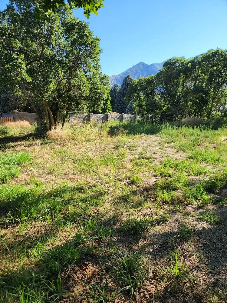 Top-rated landscape installation for outdoor upgrades in Vineyard, UT by Lawn X