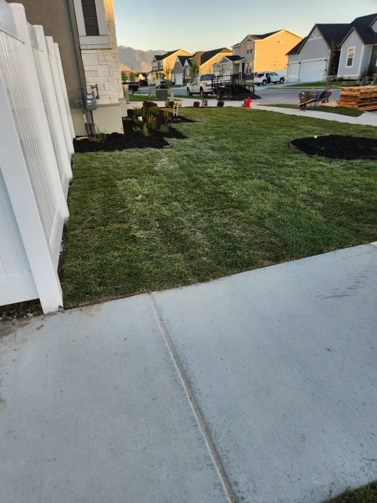 Local landscape design experts serving Vineyard, UT - Lawn X