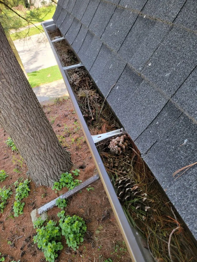 Professional landscaping services for beautiful yards in Grosse Pointe, MI by Lawnade Lawn Care Service