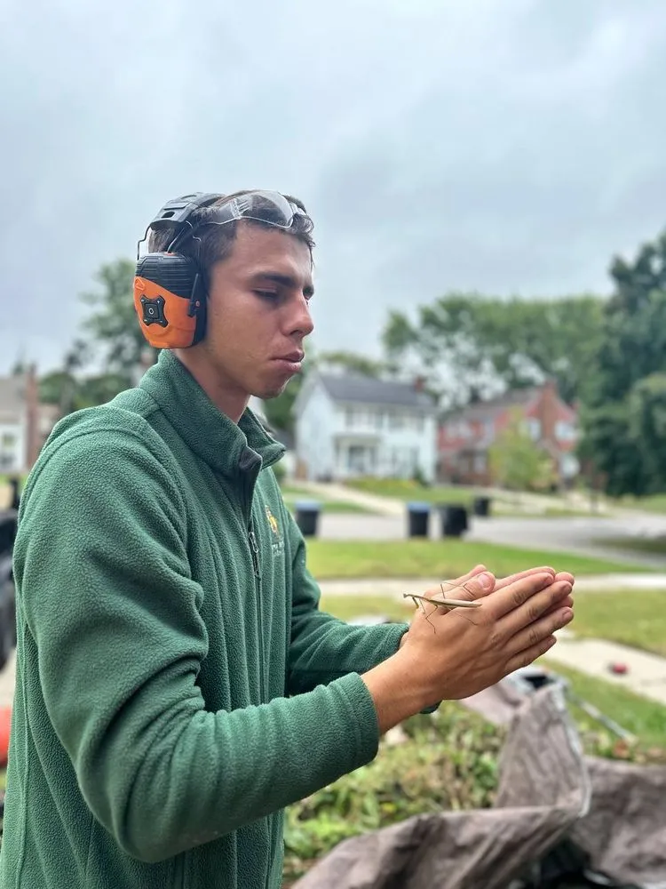 Custom yard maintenance for beautiful yards across Grosse Pointe, MI - Lawnade Lawn Care Service