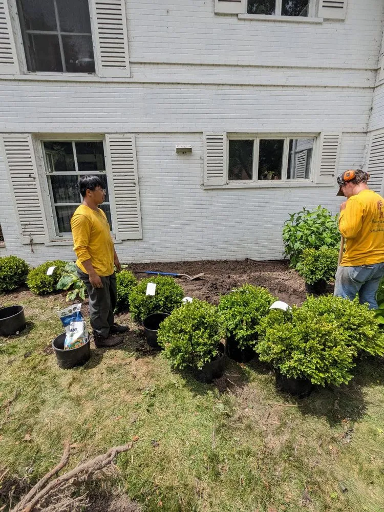 Local lawn care service near you in Grosse Pointe, MI by Lawnade Lawn Care Service