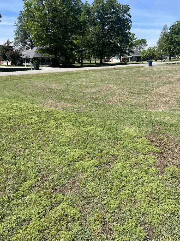 Top-rated lawn care service in Tulsa, OK by LawnAmerica