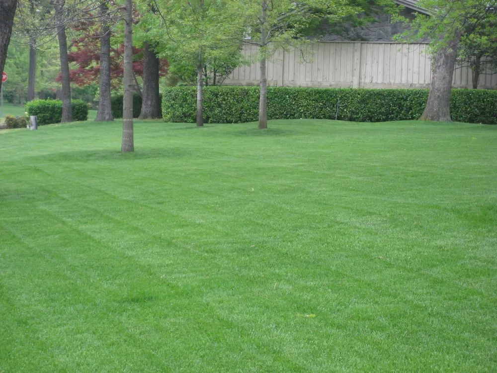 Affordable landscape installation in Tulsa, OK - LawnAmerica