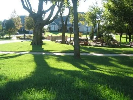 Professional lawn care service for residential properties in Tulsa, OK by LawnAmerica