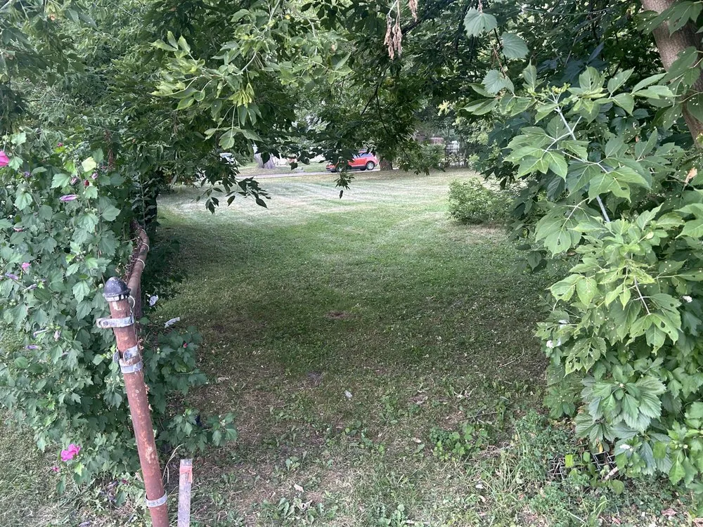 Trusted lawn mowing service in Hazel Park, MI by Lawnbarber