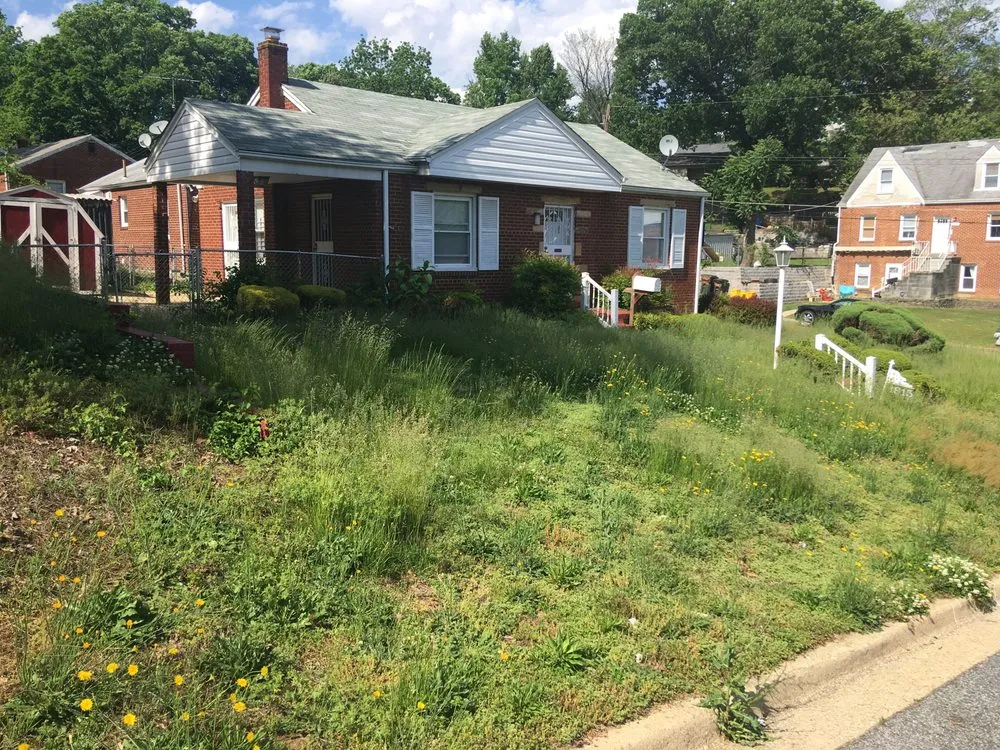 Professional yard maintenance in Clinton, MD by Lawnbeez