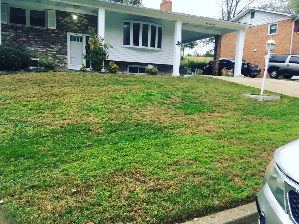 Trusted yard maintenance in Clinton, MD - Lawnbeez