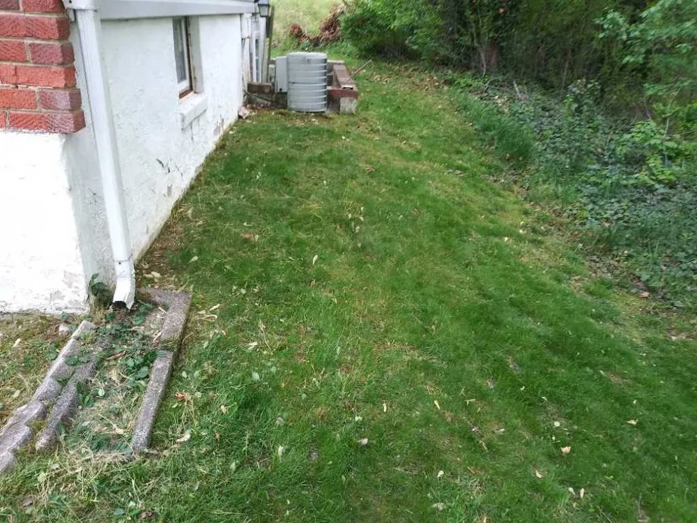 Professional lawn care service in Clinton, MD - Lawnbeez