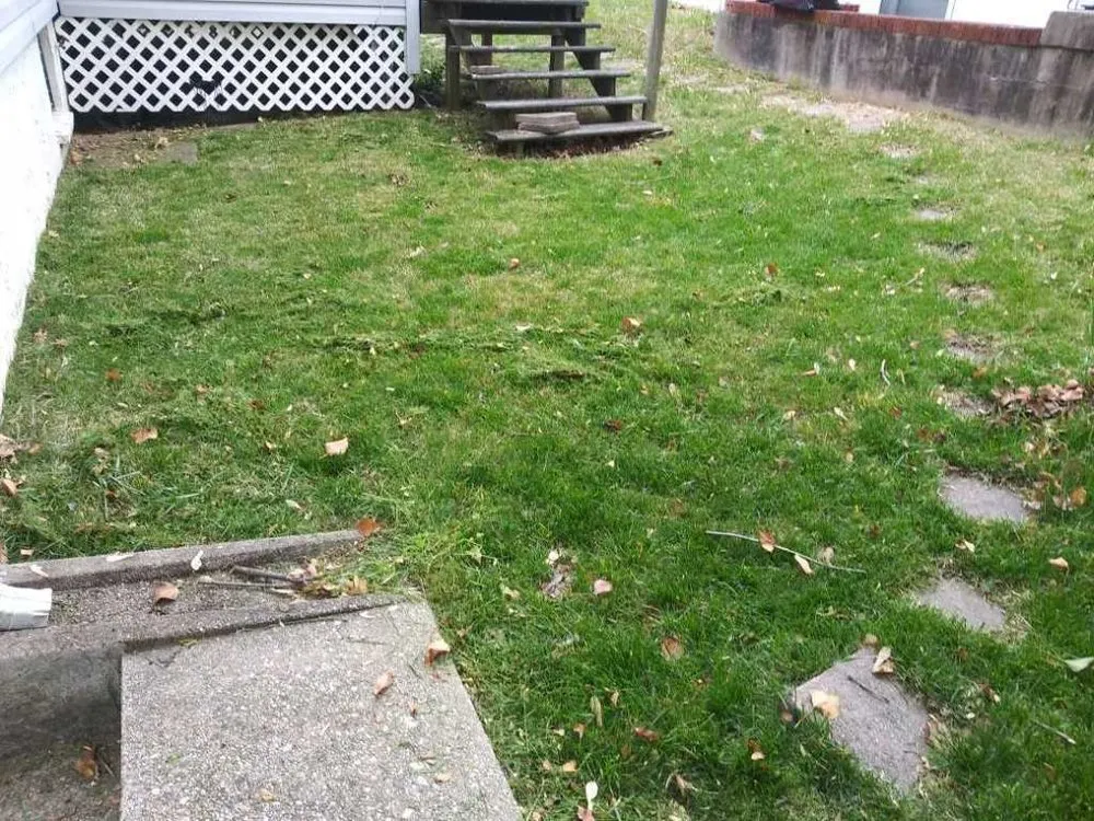 Professional lawn mowing service in Clinton, MD - Lawnbeez