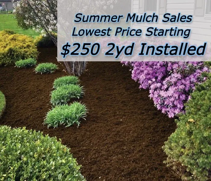 Affordable lawn care service in Jericho, NY - Lawnber