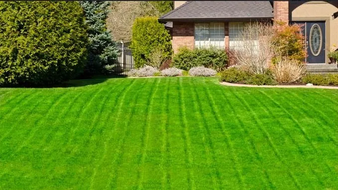 Trusted yard maintenance in Syosset, NY by Lawnber