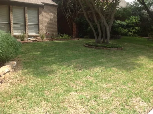 Lawnborne Landscaping Logo