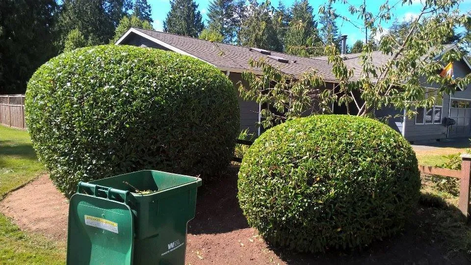 Local landscaping services for year-round maintenance across Lake Stevens, WA - LawnBoy