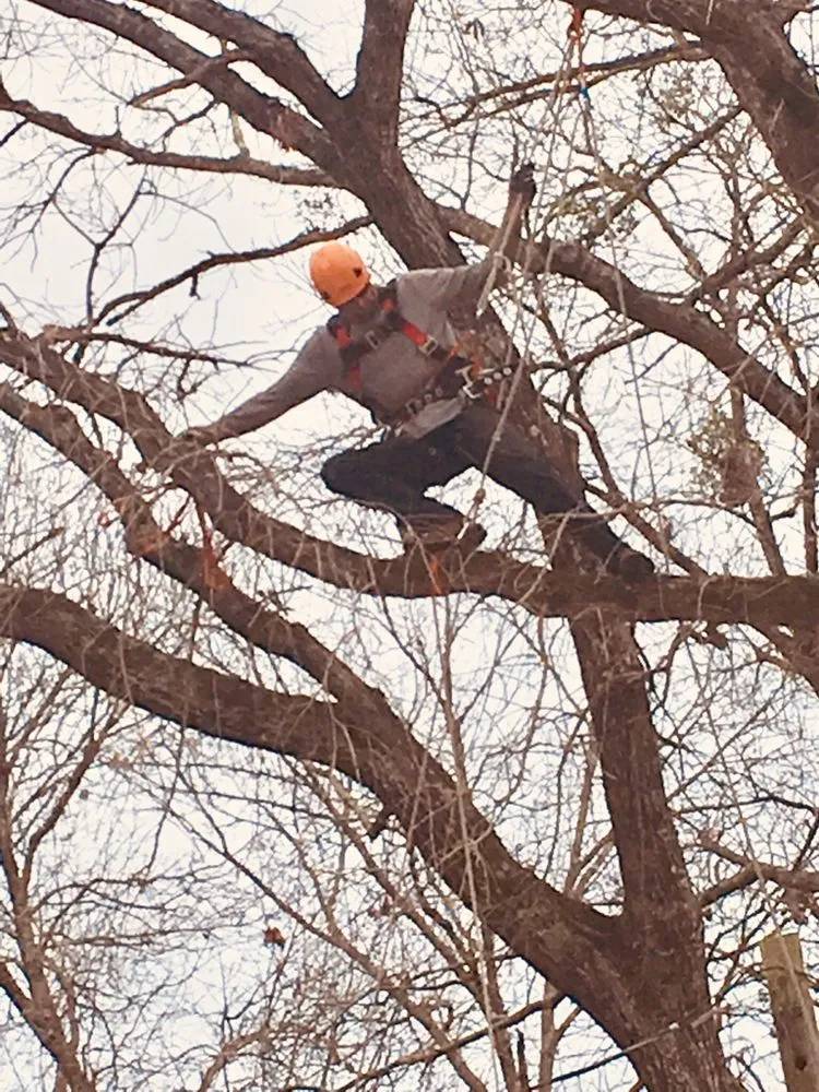 Reliable outdoor landscaping for beautiful yards across Palestine, TX - Lawnboyz