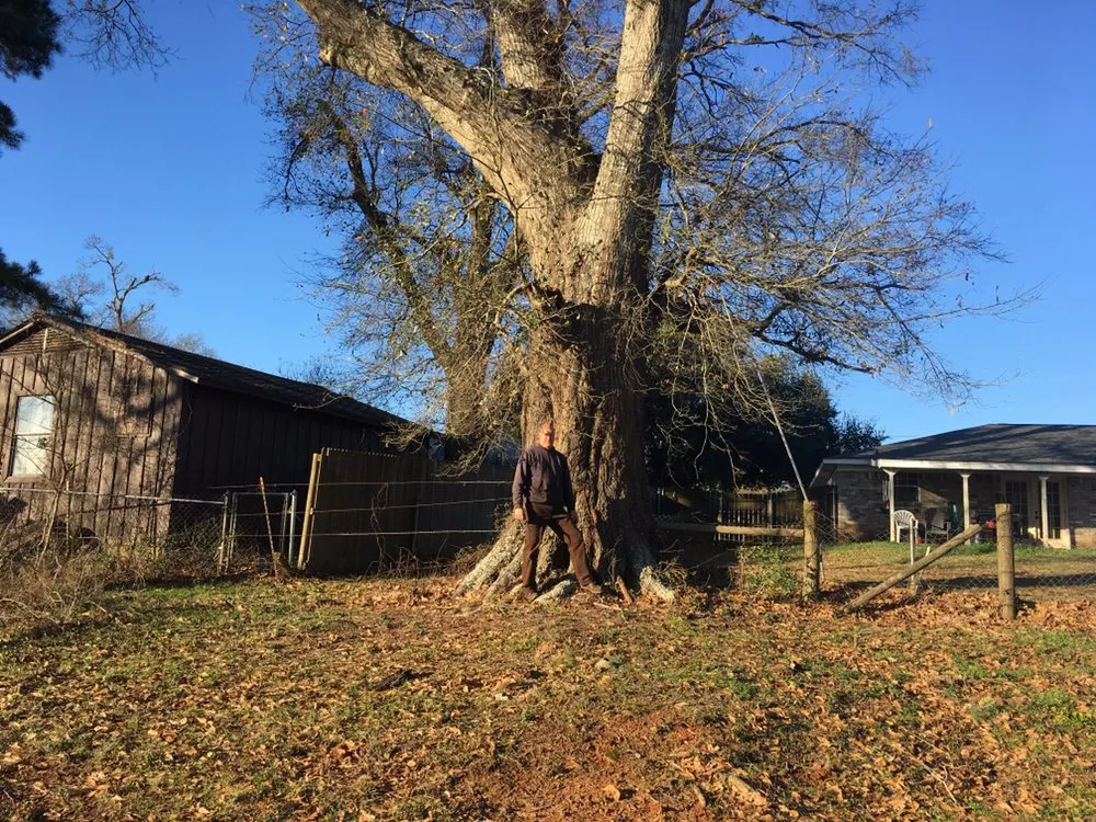 Trusted landscape design in Palestine, TX - Lawnboyz
