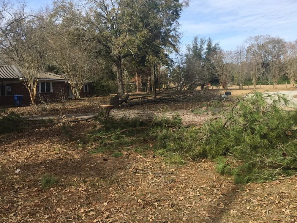 Reliable lawn mowing service experts serving Palestine, TX - Lawnboyz