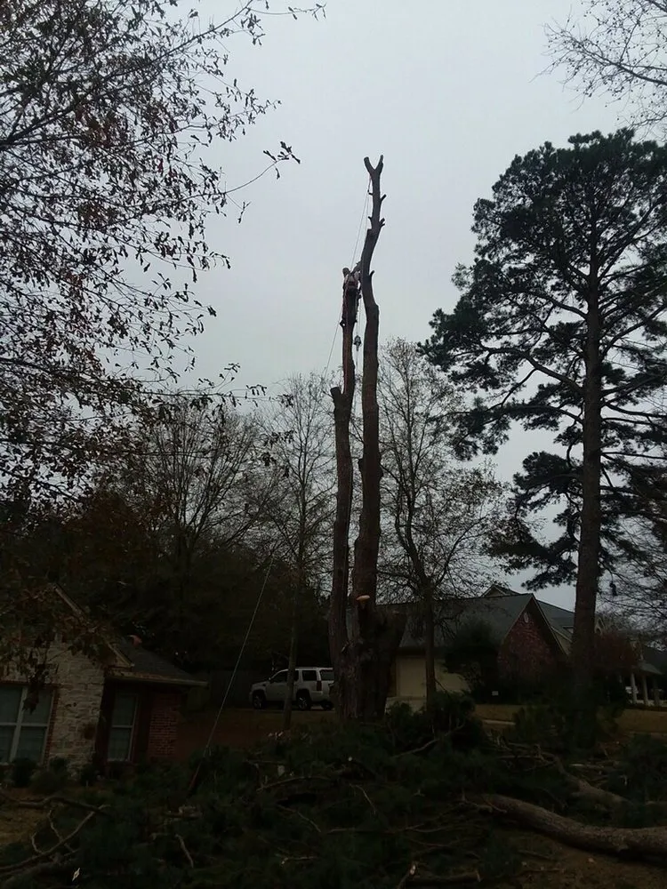 Custom garden landscaping experts serving Palestine, TX - Lawnboyz