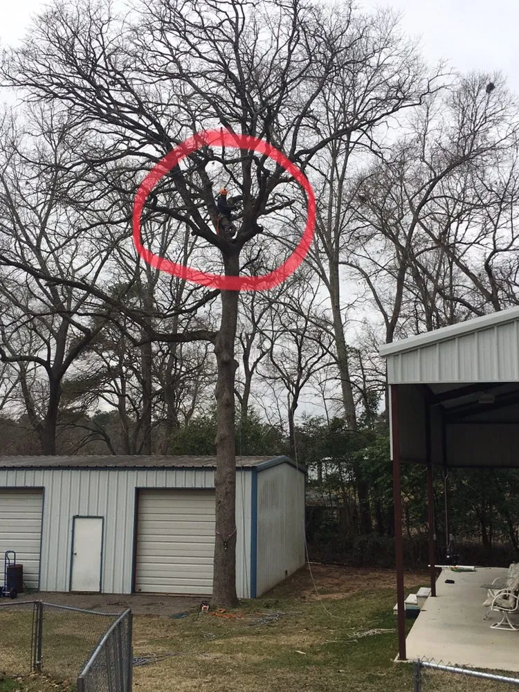 Expert landscape design in Palestine, TX by Lawnboyz