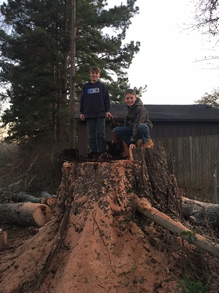 Trusted garden landscaping experts serving Palestine, TX - Lawnboyz