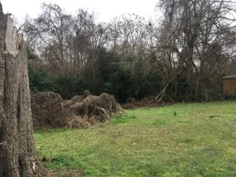 Top-rated yard cleanup service experts serving Palestine, TX - Lawnboyz