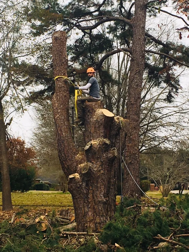 Custom garden landscaping experts serving Palestine, TX - Lawnboyz