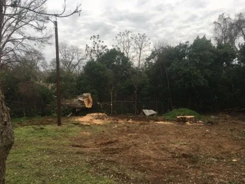 Reliable outdoor landscaping near you in Palestine, TX by Lawnboyz