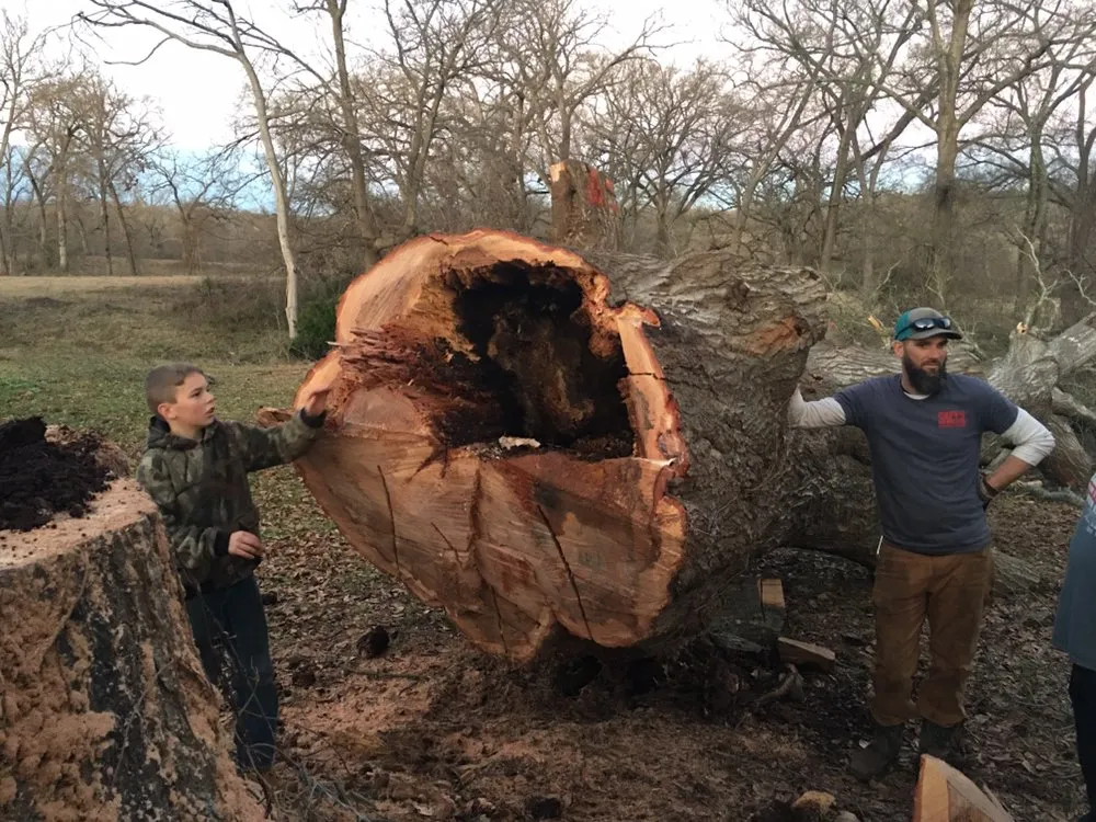 Expert lawn care service in Palestine, TX by Lawnboyz