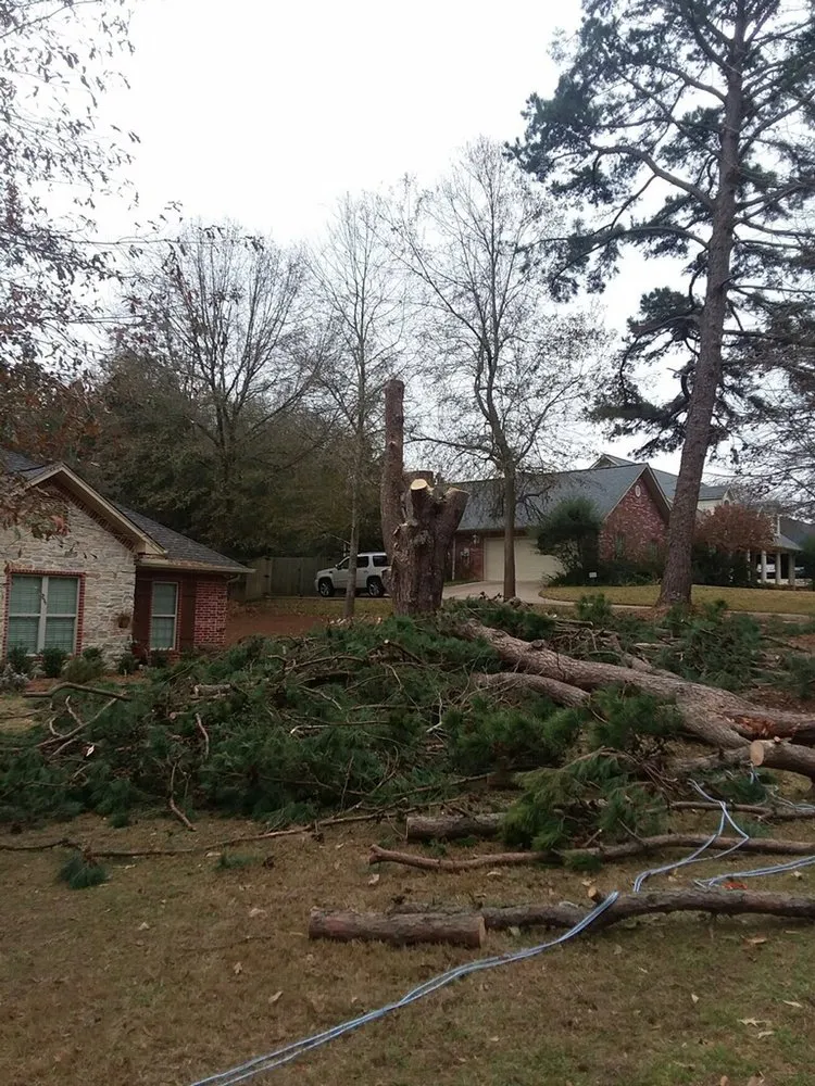 Affordable outdoor landscaping experts serving Palestine, TX - Lawnboyz