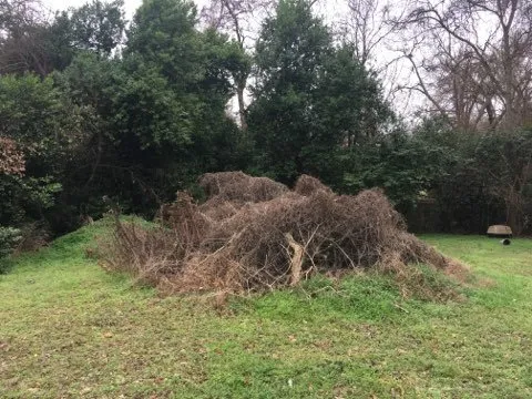 Reliable lawn care service experts serving Palestine, TX - Lawnboyz