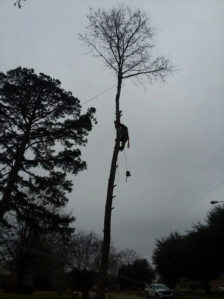 Expert yard maintenance in Palestine, TX - Lawnboyz