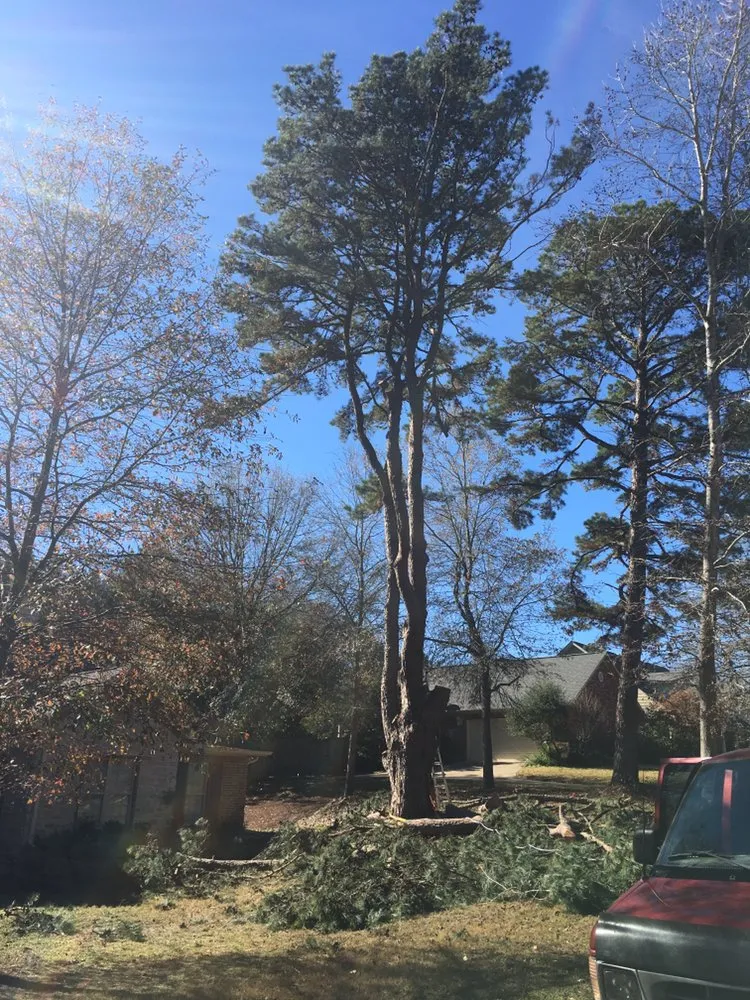 Local yard cleanup service for year-round maintenance across Palestine, TX - Lawnboyz