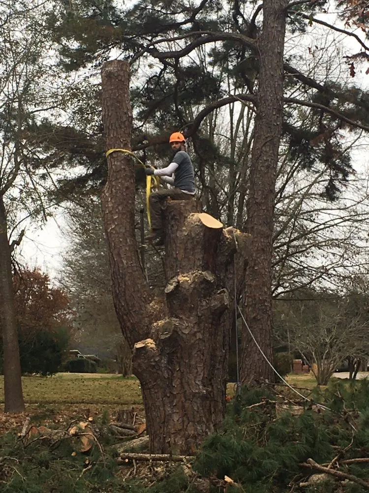 Reliable landscaping services experts serving Palestine, TX - Lawnboyz