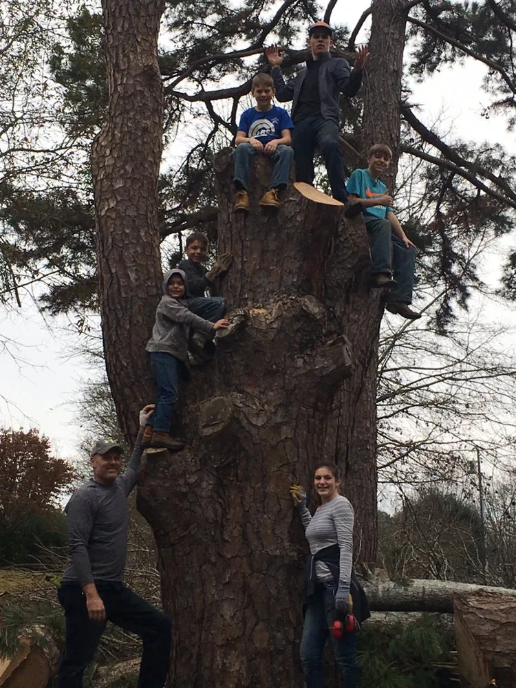 Trusted lawn care service for year-round maintenance across Palestine, TX - Lawnboyz