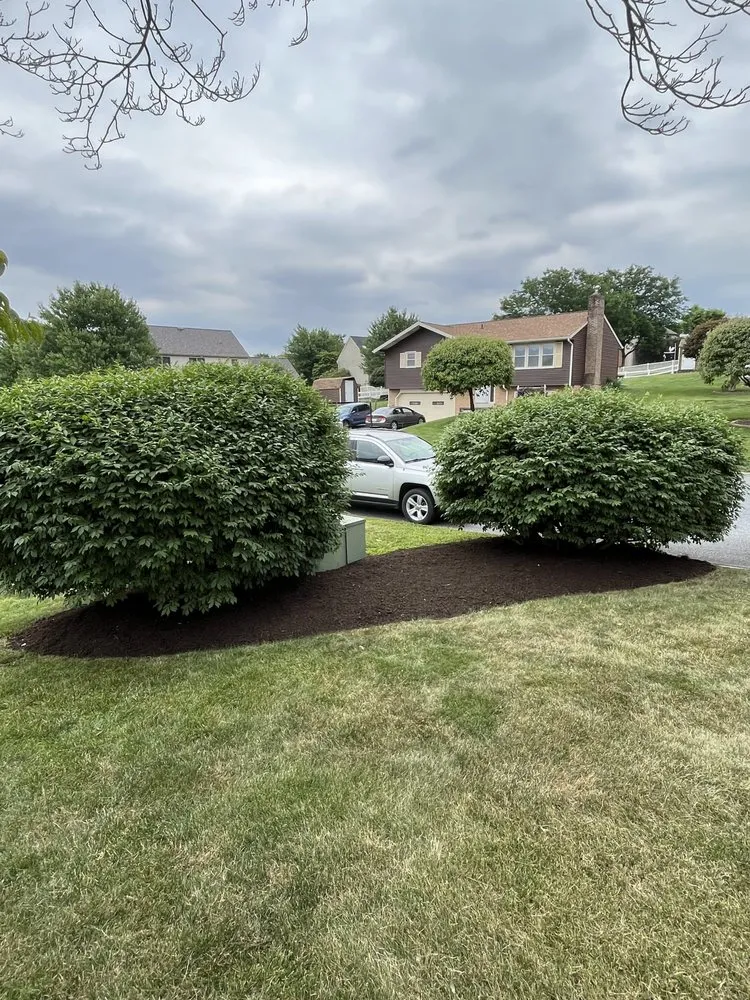 Professional outdoor landscaping in Akron, PA - LawnBros