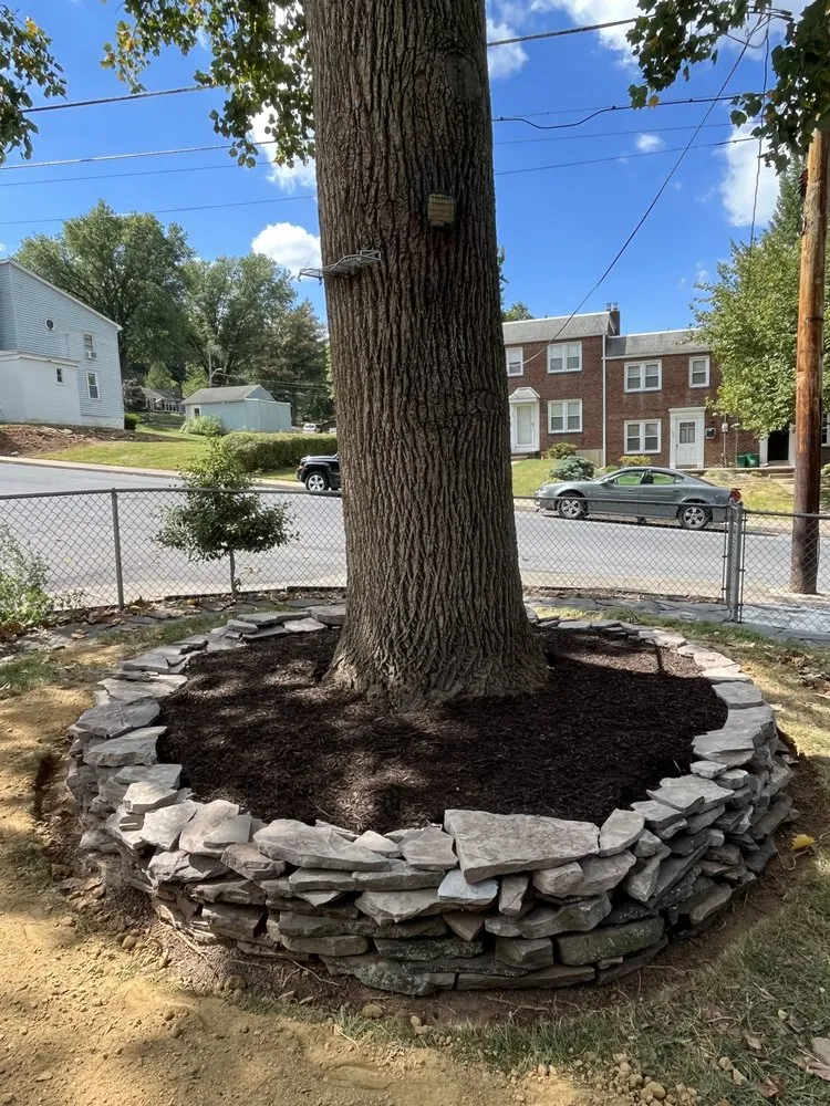 Expert yard cleanup service experts serving Akron, PA - LawnBros