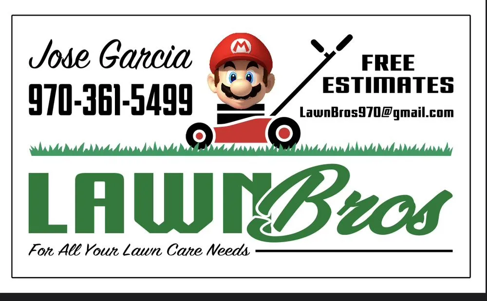 Trusted yard cleanup service experts serving Olathe, CO - LawnBros