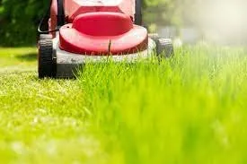 Affordable yard cleanup service in Matthews, NC by LawnBroz