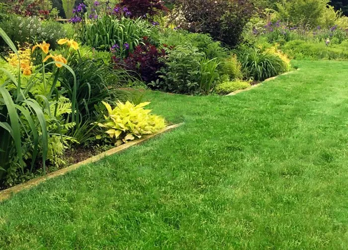 Trusted landscape design in Matthews, NC by LawnBroz