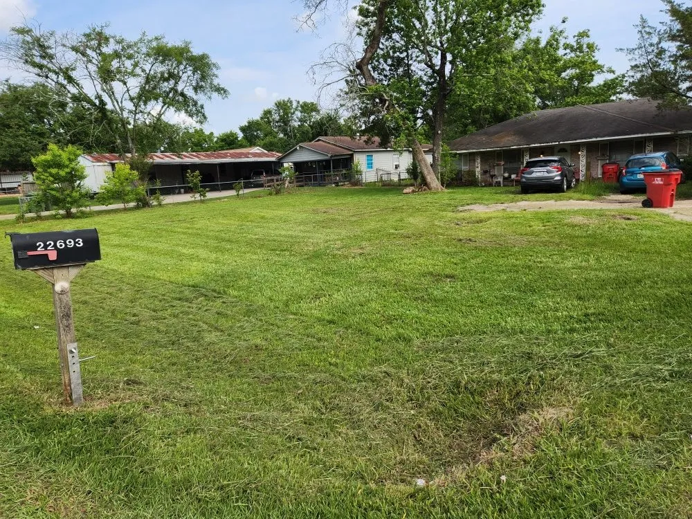 Trusted yard cleanup service for outdoor upgrades in Porter, TX by LawnBugz Landscaping